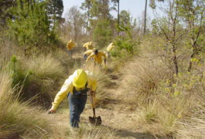 Incendios Forestales