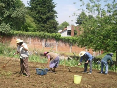 AGRICULTURA FAMILIAR