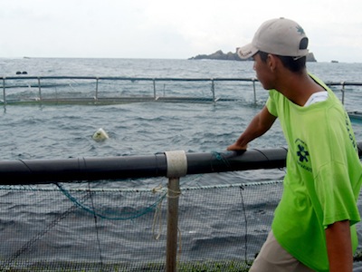 PROYECTOS DEL MAR