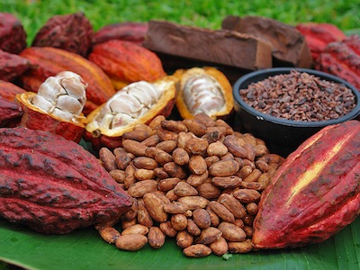 CACAO 