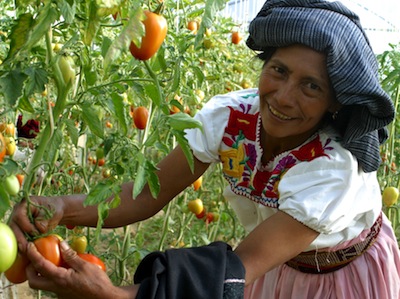 MUJERES EN EL CAMPO