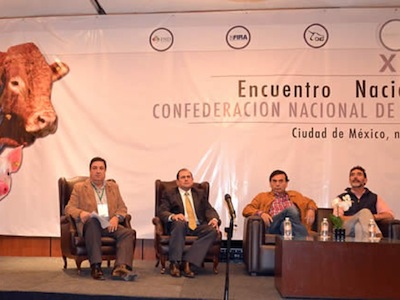 ENCUENTRO GANADERO