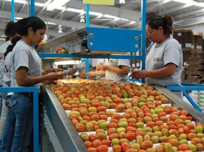 producción agropecuaria