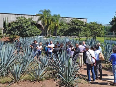 ventas de tequila