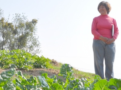 Campo femenino