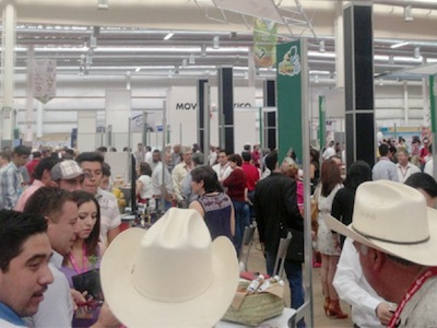 expo Chihuahua