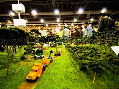 EXPO FORESTAL 