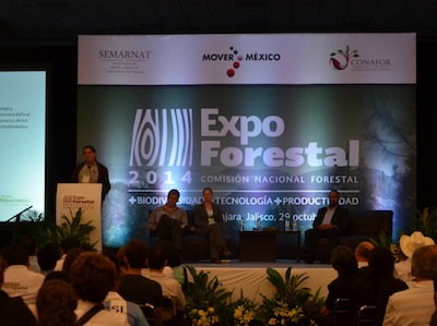 expo forestal 