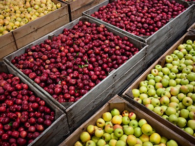 MANZANA CHIHUAHUA