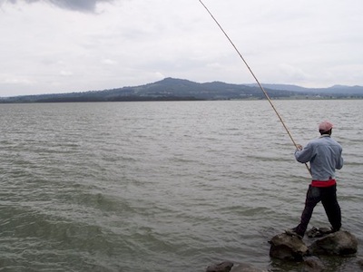 presa vaquerías