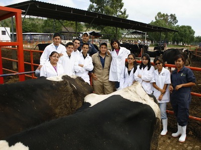 veterinarios