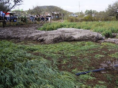 GRANIZADA SALINAS 