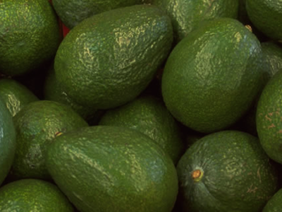 AGUACATEROS