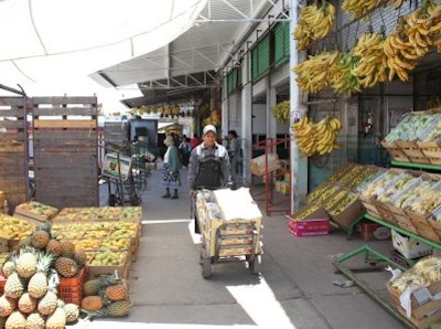 CENTRAL DE ABASTO 