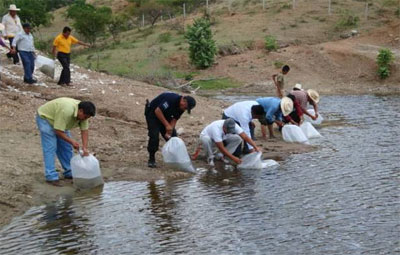 entrega-crias-carpa