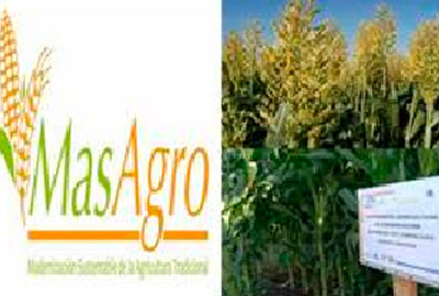 masagro2