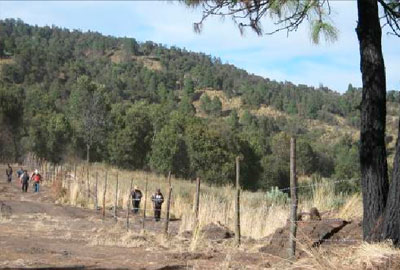 premiaran-esfuerzos-reforestacion