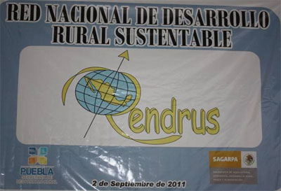 rendrus