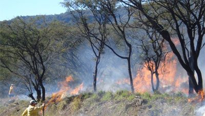 incendios