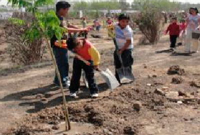 jornada-estatal-reforestacion