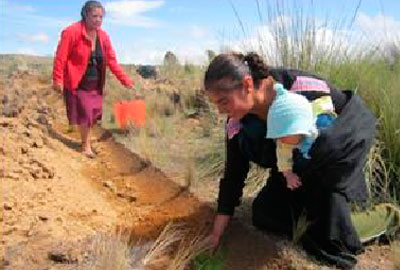 jornada-reforestacion-indigena