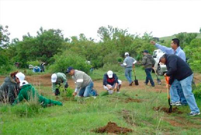 jornada-reforestacion-puebla