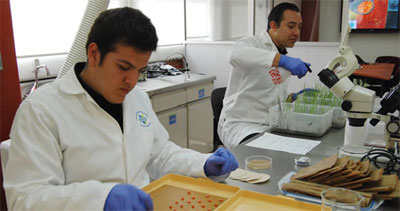 laboratorio-central