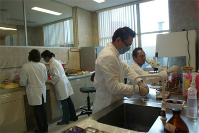 laboratorio-isstep