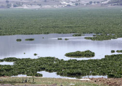 presa-valsequillo2