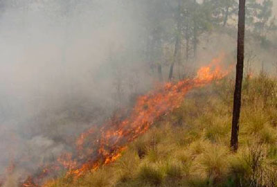 puebla-menos-incendios