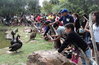 visita-zoologico