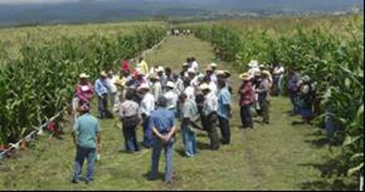 reciben-capacitacion