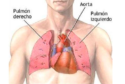 relacion-diabetes-hipertension