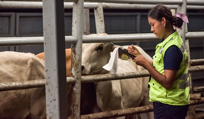 La Procuraduría Agraria 