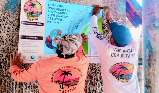 México proyecta triplicar Zonas de Refugio Pesquero: Conapesca