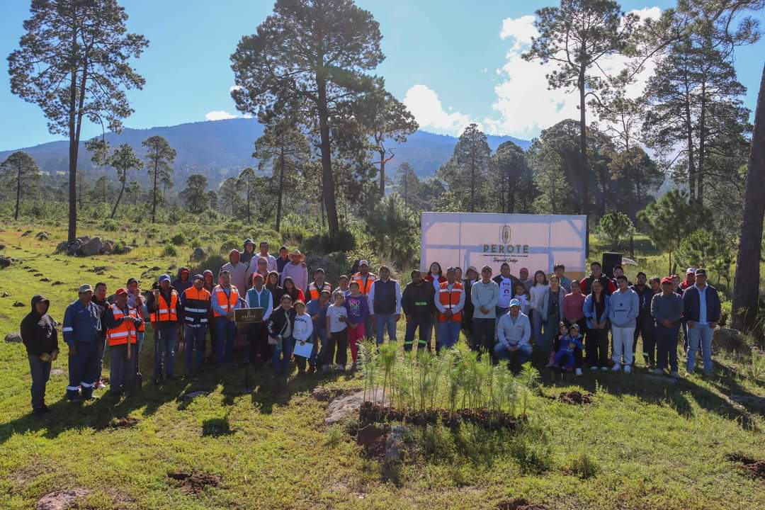 GRANJAS CARROLL DE MÉXICO REFORESTA CON MÁS DE 15 MIL ÁRBOLES EL EJIDO TENEXTEPEC